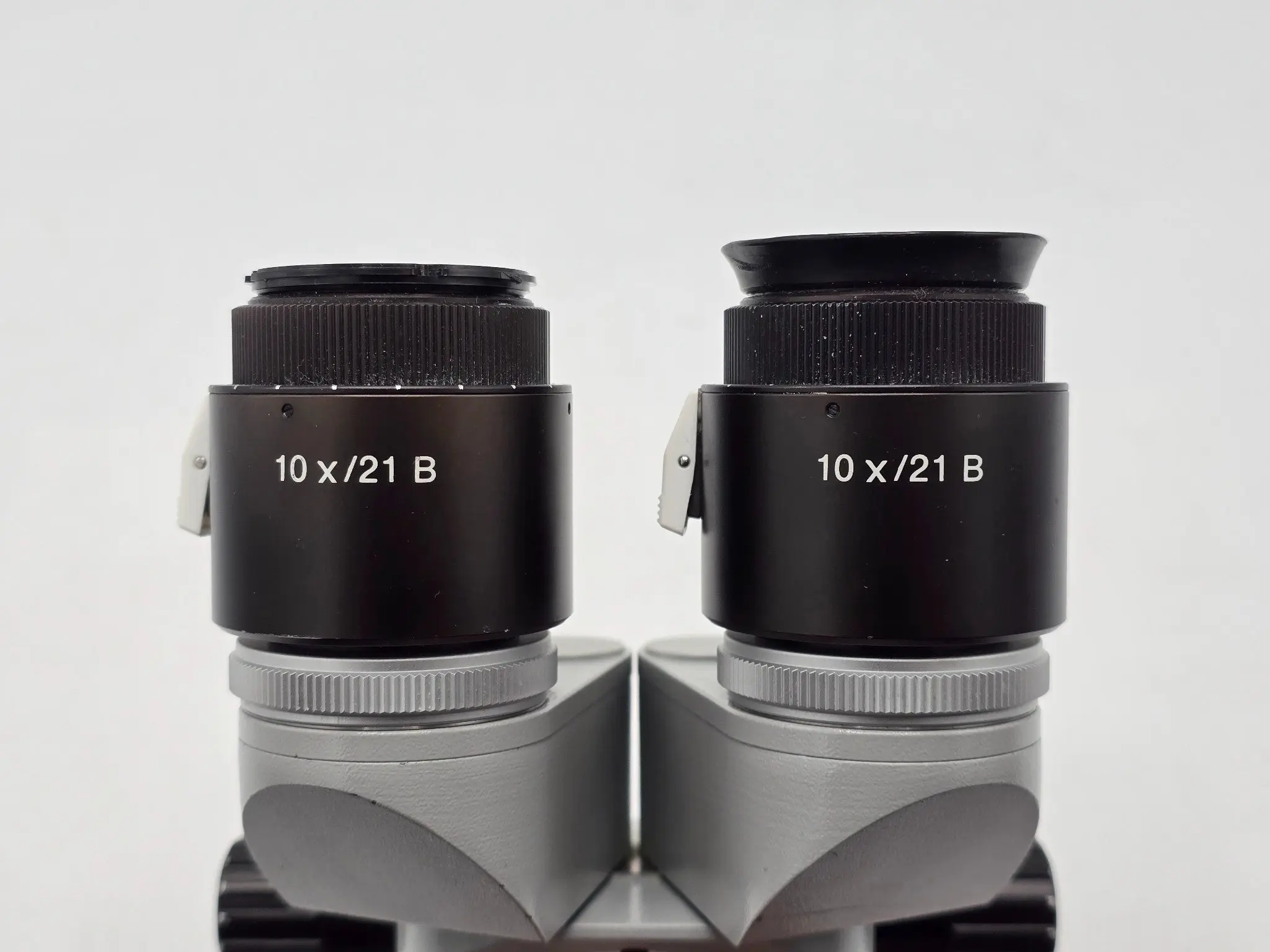 Carl Zeiss f=170 Binocular Microscope Head w/ 10x/21B Eyepieces - Image 2