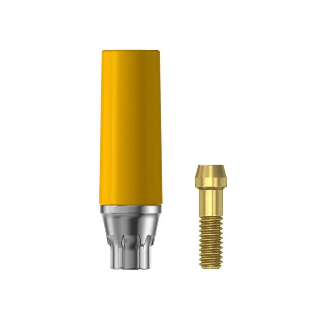 Dentsply Implants Manufacturing 25327 Castdesign Ev 4.2