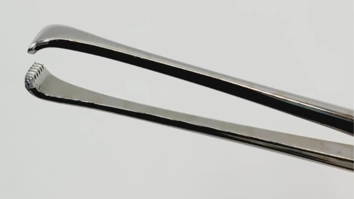 Jarit 135-125 Thoms-Allis Tissue Forceps, Straight 8" - Image 4