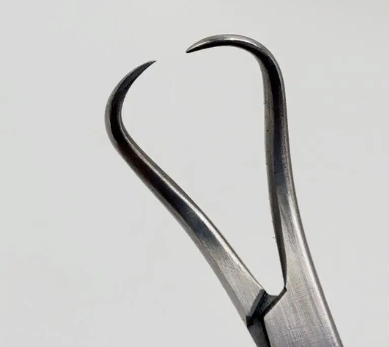 Konig MDS1411109 Backhaus Towel Forceps 4" - Image 2