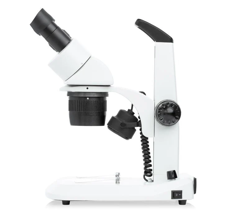 LW Scientific DM Dual Magnification Stereoscope 10x/30x Dual LED Light Stand - Image 2