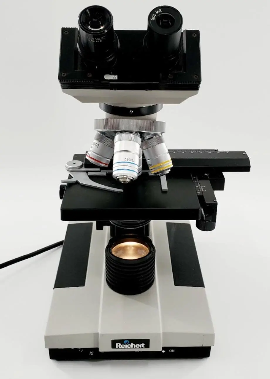 Reichert Jung 310 Compound Microscope - Image 2