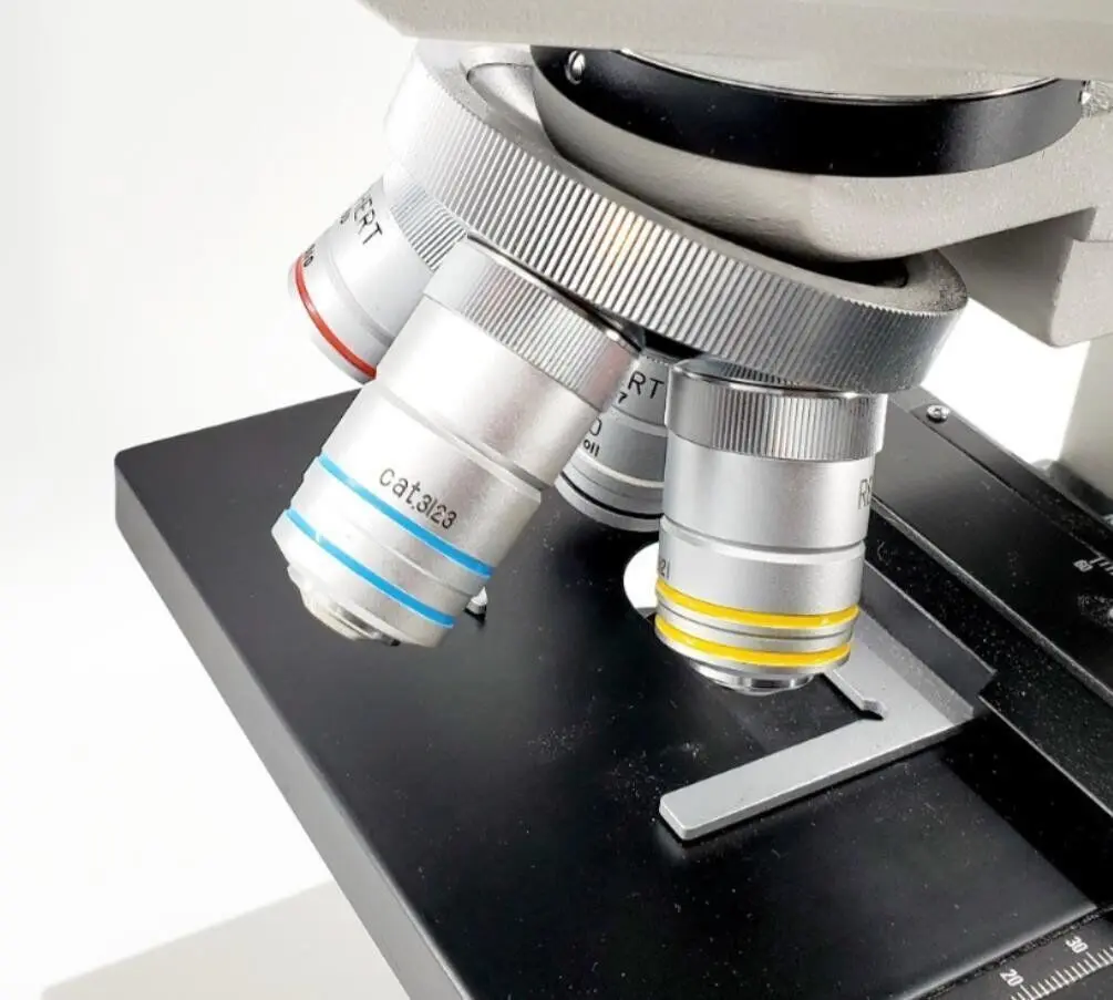 Reichert Jung 310 Compound Microscope - Image 3