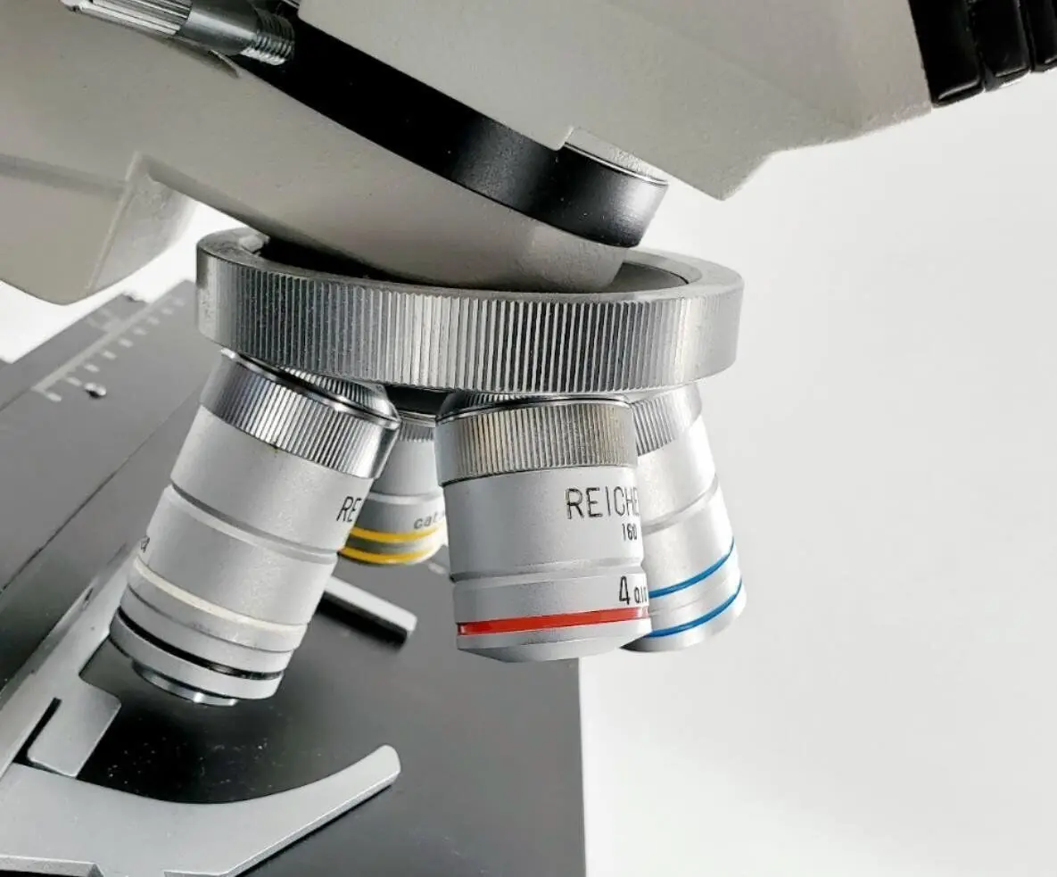 Reichert Jung 310 Compound Microscope - Image 8