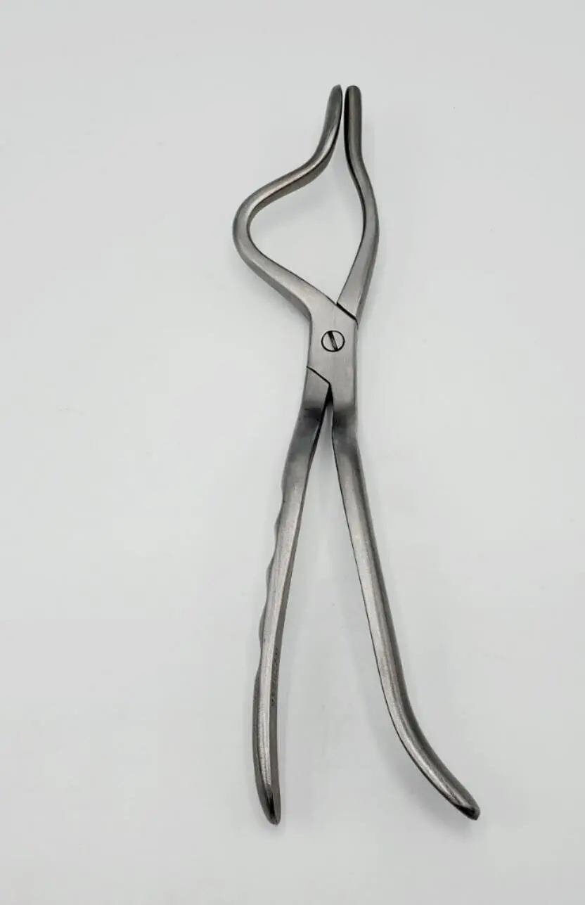 W. Lorenz 01-0248 Dental Rowe's Right Maxillary Disimpaction Forceps 9" - Image 4